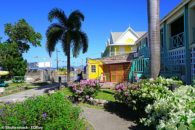 These schemes promise dual nationality to individuals who purchase approved real estate, starting at USD $200,000 (£149,688) (Pictured: Downtown Charlestown, the capital of Nevis in the Federation of St Kitts and Nevis)