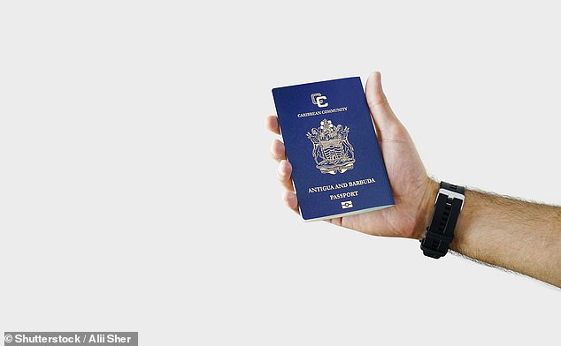 In return, buyers are issued with a Caribbean passport that can unlock visa-free access to over 150 countries, including the UK and the EU's Schengen Zone