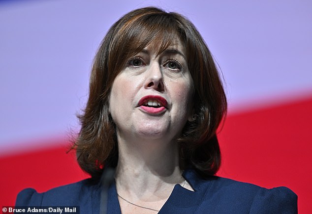 Leader of the House of Commons Lucy Powell (pictured), herself the Labour MP for Manchester Central, said at the time there was 'understandably a lot of concern'