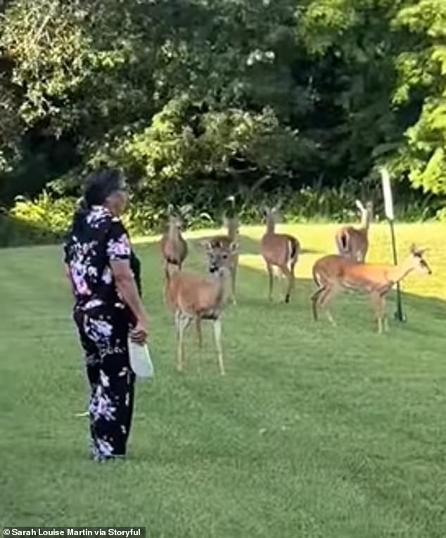 The woman who threw her shoes was left looking at the animal in awe as it scurried back into the water with her sandal