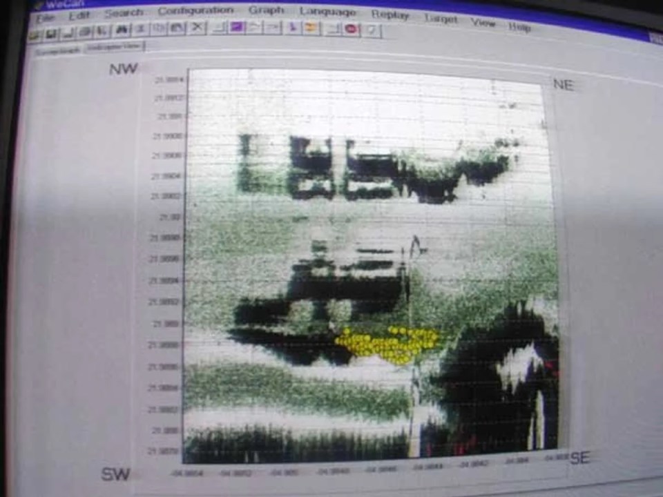 Sonar image of possible underwater structures.