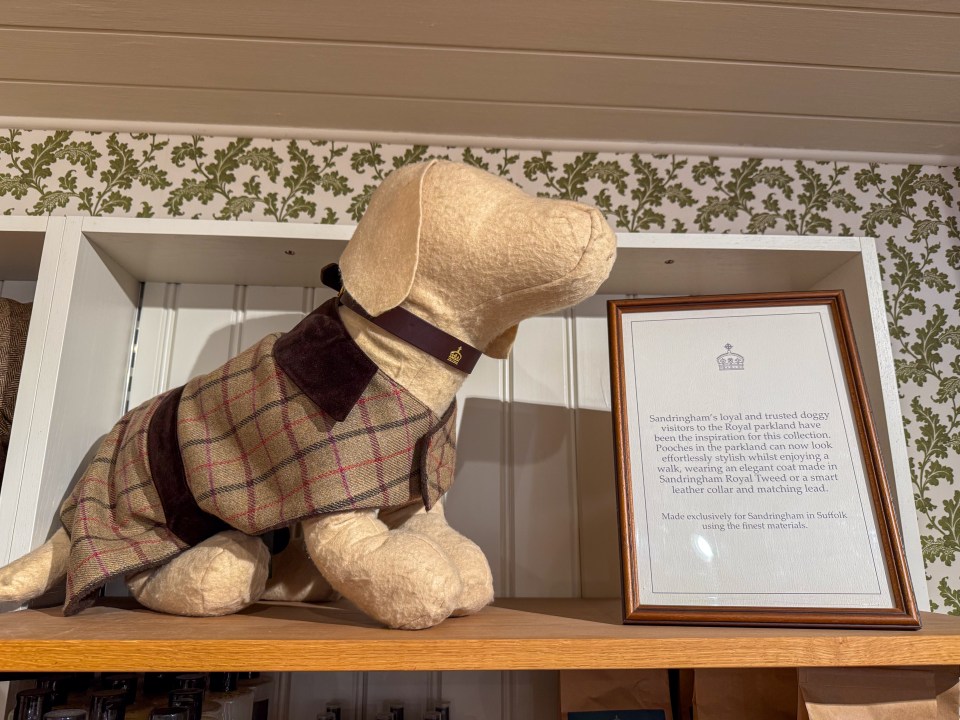 Dog wearing tweed jacket on display at Sandringham.