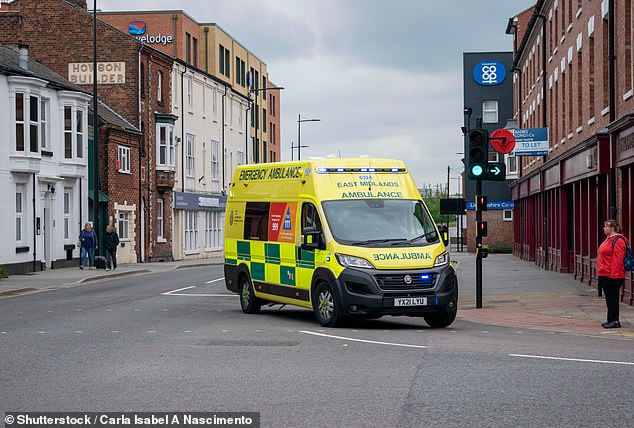 Paramedics from the East Midlands Ambulance Service also attended and helped set up a triage centre to assess all children present at the camp (stock picture)