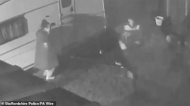 Carless was seen 'stalking' Mr Price around the garden while menacingly waving the knife towards his face