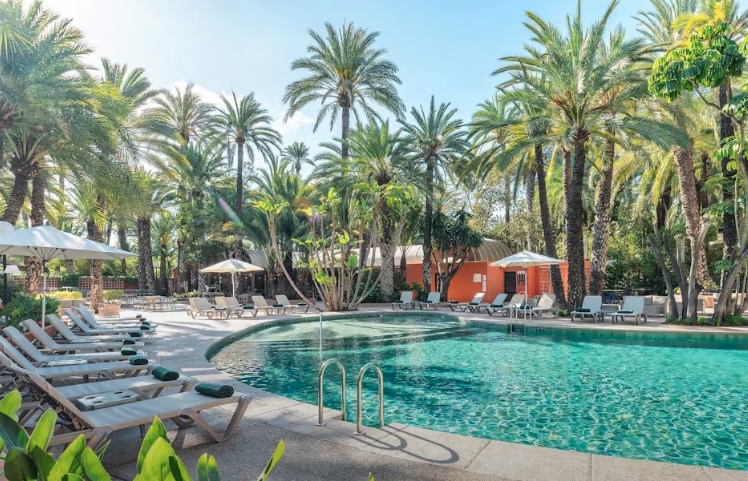 Resort pool surrounded by palm trees and lounge chairs.