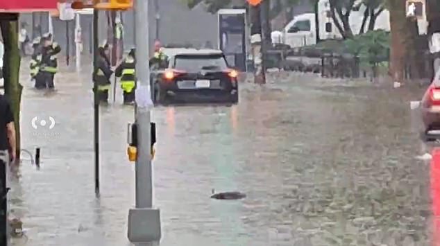 SUV's submerged  Water St and Front St
