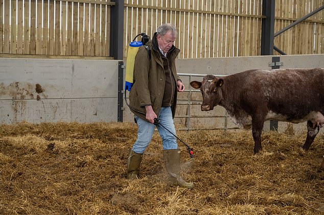 Amid concern that the outbreak may be affecting members of staff, Mr Clarkson later said: 'I should clear this up really. It's Bovine TB that we have. It doesn't affect people, just our poor cows'