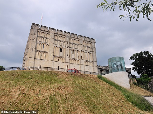 The alleged thefts are believed to have included prestigious items such as two saucers, ceramics, glass and coins. Pictured: Norwich Castle Museum, which Norfolk Museum Service presides over