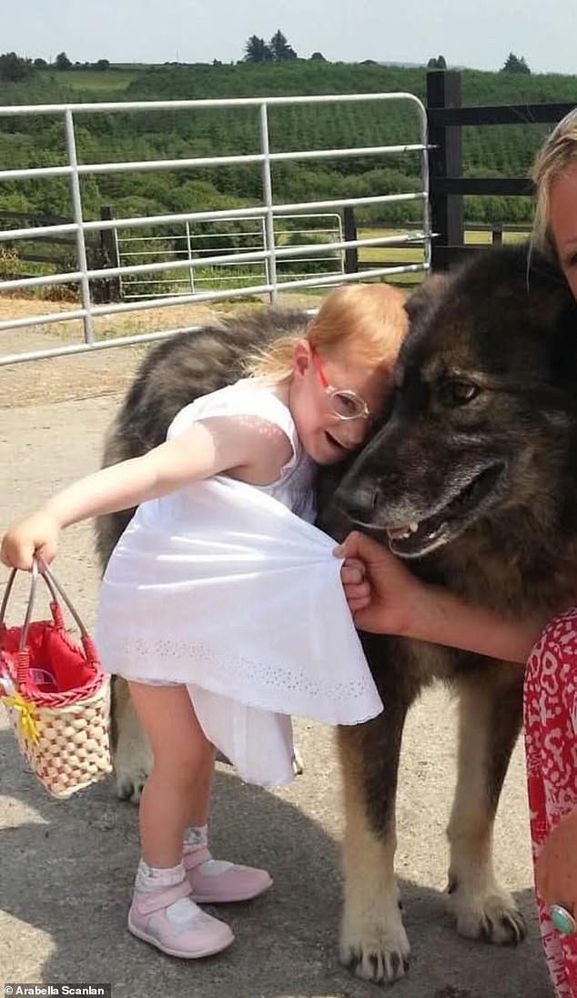 Brianna died from SUDEP three years before the alleged attack on her brother Harry
