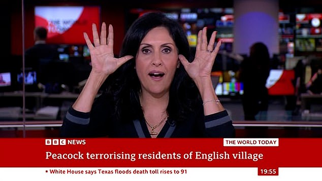 BBC News presenter Maryam Moshiri did a peacock impression while presenting a story yesterday evening, raising her hands to her ears and making a high-pitched squawking sound