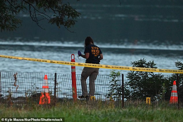 Members of the NYPD use evidence markers to indicate where shell casings and other evidence are found at the scene where an off-duty border patrol agent is wounded in a shooting at Fort Washington Park in Manhattan