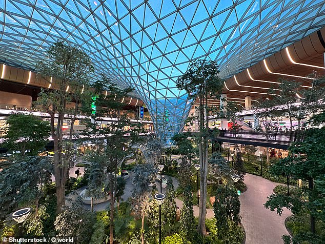 Top of the tree: Hamad International Airport (pictured above) in Doha, Qatar, was in second place in AirHelp's rankings