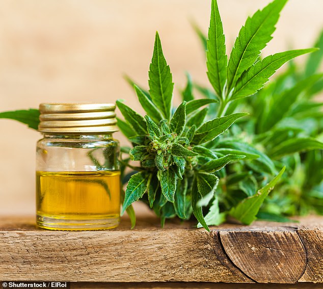 CBD is legal and doesn't contain any of the chemical tetrahydrocannabinol (THC), which is what makes cannabis illegal