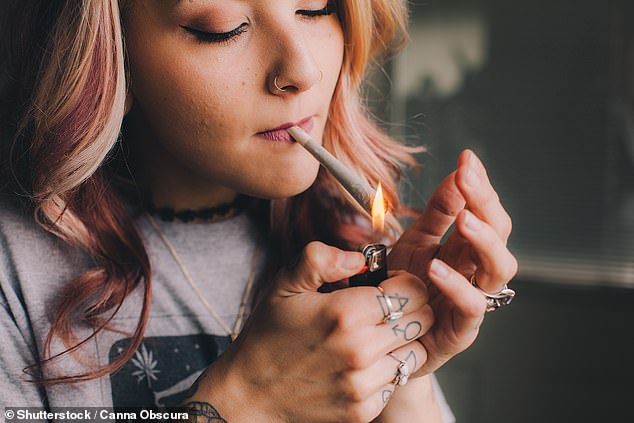 Around 62 million Americans 12 and older have used marijuana in the past year and approximately 18 million people use it daily