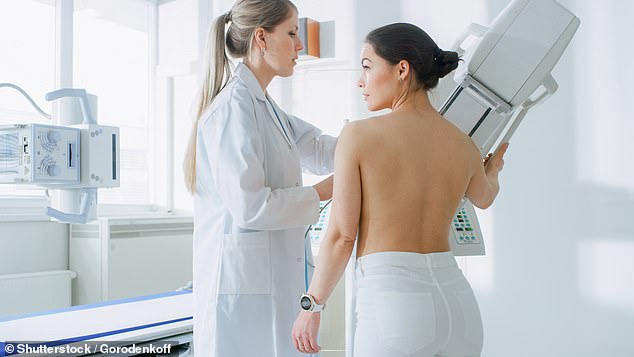 Around one in seven women in the UK will be diagnosed with breast cancer during their lifetime (file image)
