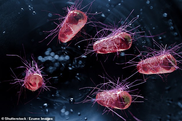Dr Khan warned not taking your shoes when you get home can risk bringing in potentially life-threatening bacteria