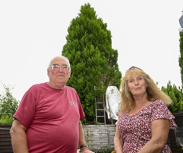 Keith Smith (left) and his wife Julie (right) told MailOnline that the matter has been a 'thorn in their side' that has taken a massive toll on their mental health