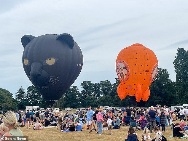 Some visitors to the often sold-out Balloons and Tunes festival (pictured) have been left far from impressed after paying £20 per person (two balloons at the Romsey event)
