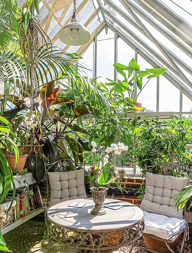 Comfortable armchairs, a shelf of books and an overhead pendant light have been placed among the foliage to turn this greenhouse into a library-cum-reading nook. Oka.com sells a wide range of upholstered occasional chairs.