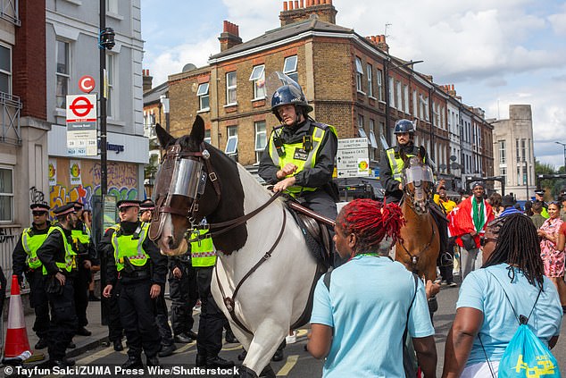 Nearly 90 per cent of Metropolitan Police officers who responded to a survey last year said they had felt unsafe while working at the annual festival