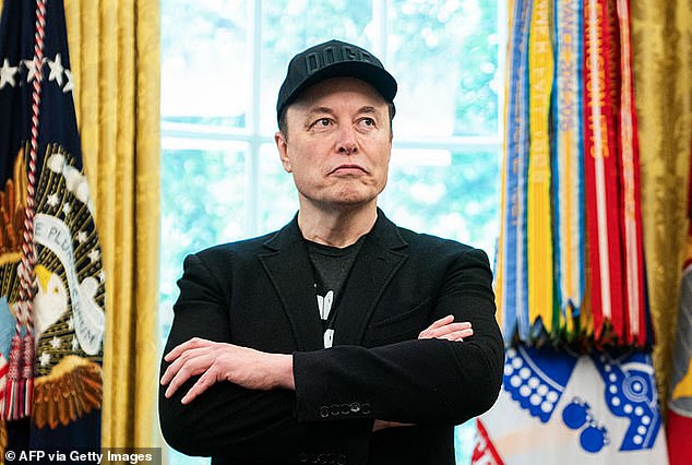 Elon Musk eviscerated President Donald Trump on Wednesday for claiming that files related to sex pest Jeffrey Epstein are just a 'hoax' created by the Democrats