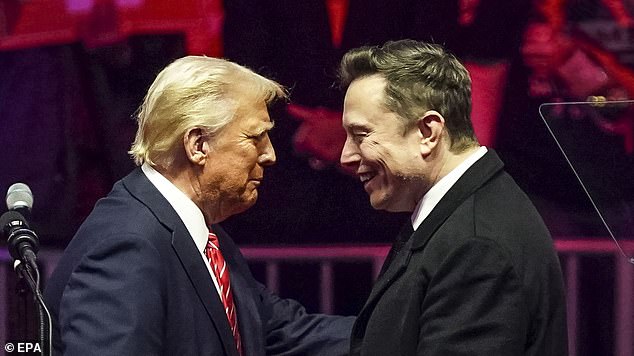 Elon Musk (right) may face a hurdle at the federal level to get his new 'America Party' up and running