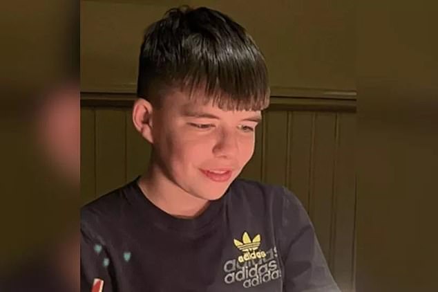 Joshua Myers (pictured) and another boy, both 16, were found dead on the tracks near Poynton Station