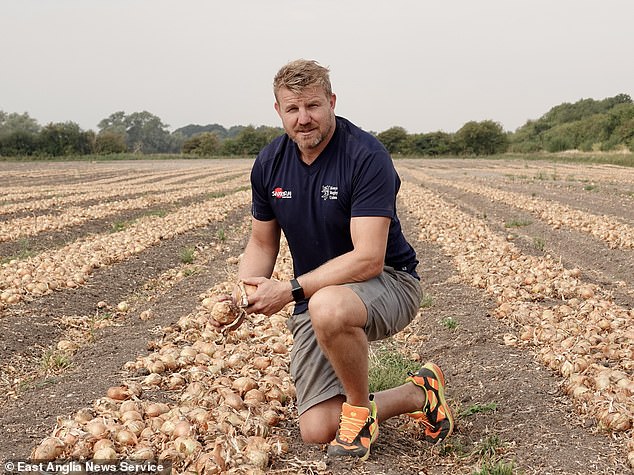 Farmers have been banned from watering their crops during Britain's sweltering heatwave as temperatures hit 33C. Pictured: File photo of Norfolk farmer Tim Young in 2022