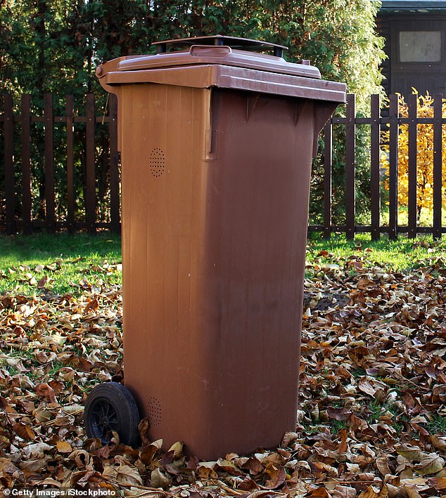 The 37-year-old, who reportedly lives in Chelmsford, Essex, ranted about the annual fee for brown bin collections introduced by the council (stock image)