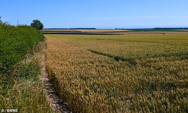 The countryside around Woldgate, near Bridlington in Yorkshire, where six wind turbines are set to be installed