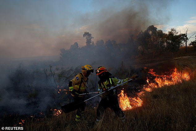 Forest rangers put out a wildfire on the outskirts of Valmojado in Spain