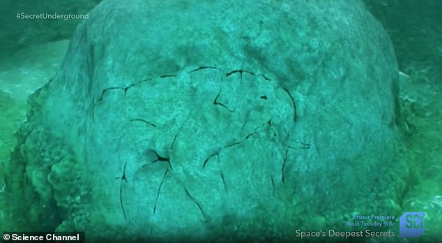 Archaeologists discovered a boulder with a prehistoric carving of a mastodon, as well as a series of stones arranged in a Stonehenge-like manner