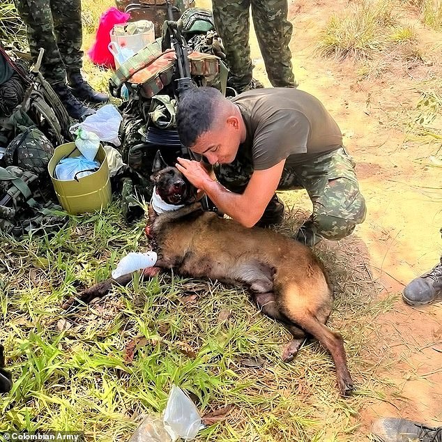 Brave Sanson has been called a hero after saving hundreds of people from a bomb blast