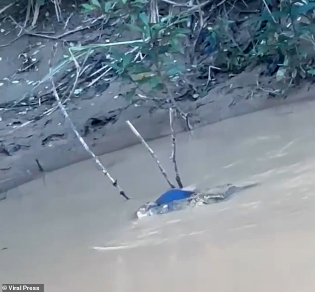 A schoolboy was killed by a crocodile while he was fishing on a riverbank in Indonesia. Despite warnings from his classmates, Muhammad Nur Akbar dipped his feet to wash in the murky brown waters, only for a crocodile to surge forward and sink its large fangs into his thigh