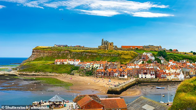 Police rushed to Whitby Abbey, in North Yorkshire, at 7.16pm on Wednesday after the bodies were spotted on the rocks beneath the cliff by a local. (File image shows Whitby Abbey and the coastline)