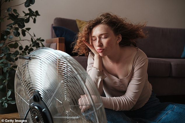The leading brands benefiting from an air-conditioning boom include the US businesses Johnson Controls and Carrier.