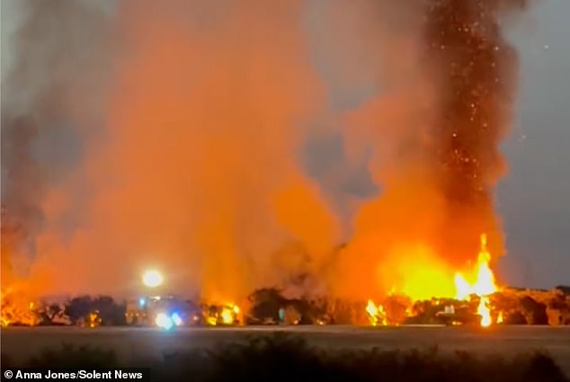 The blaze broke out in Beaulieu, part of the picturesque New Forest in Hampshire, on Saturday evening