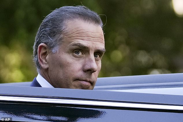 Hunter Biden is breaking his silence and sharing his frustration with the Democratic party for abandoning his father in the 2024 election
