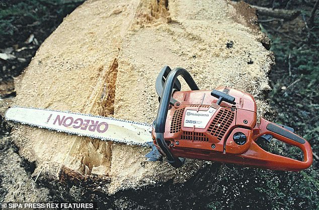 Threat: Most of the gardens in Mark's street fall within a conservation area, meaning that if the grey poplar was in his neighbours¿ garden a licence would have to be granted to remove it