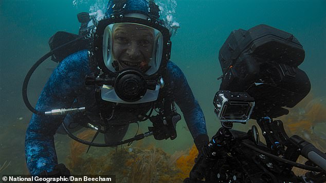 Bertie Gregory's (pictured) new documentary follows him as he tries to track down a great white shark to swim with