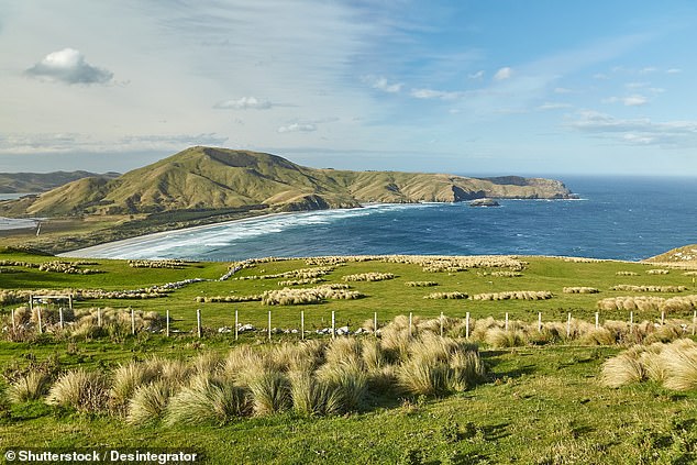 Though the island boasts rolling hills, farmland, beaches, walking trails and scenic views, it has been uninhabited for over 700 years and is only accessible either by ferry from Auckland