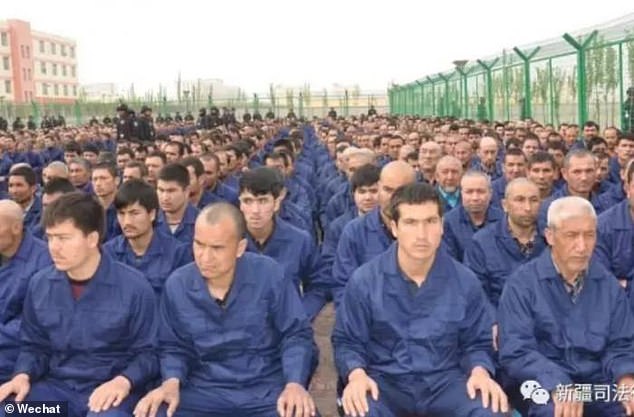 Horrifying accounts of sexual abuse, torture, forced confessions and human experimentation in Chinese prisons have led rights groups to accuse the country of crimes against humanity