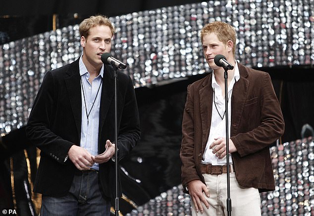 Prince William and Prince Harry organised the 'epic concert', which had taken seven months of intensive planning, to commemorate the tenth anniversary of their mother's death