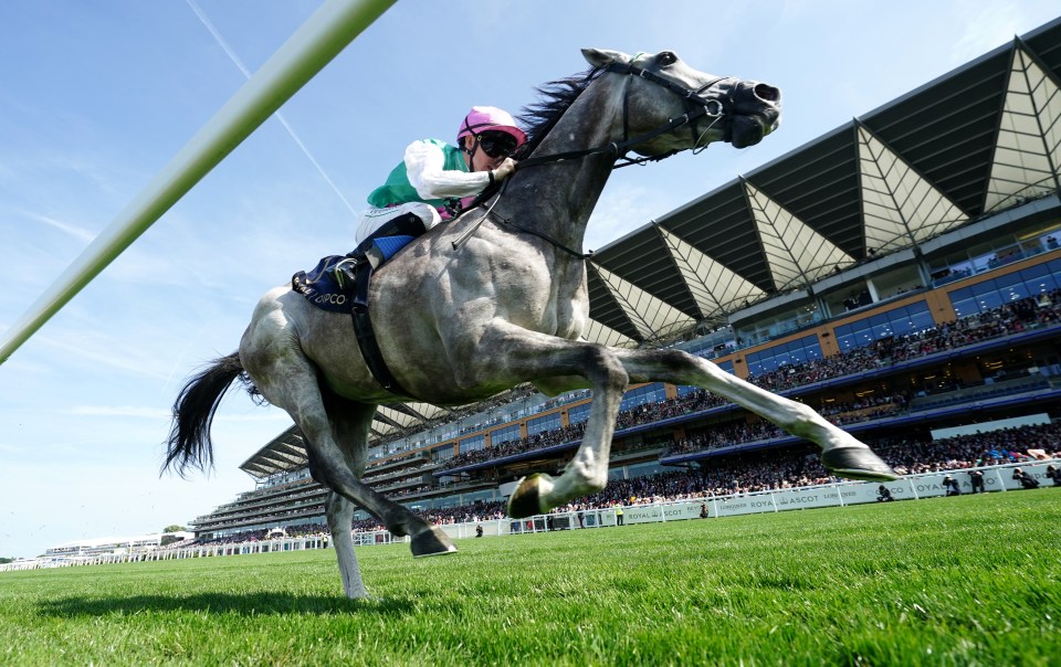 Horse and jockey winning a race at Ascot Racecourse.