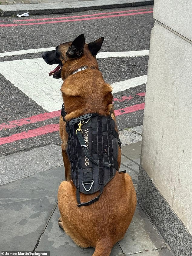 In May, James insisted the next time he visits the city, he would bring his dog as protection (pictured)