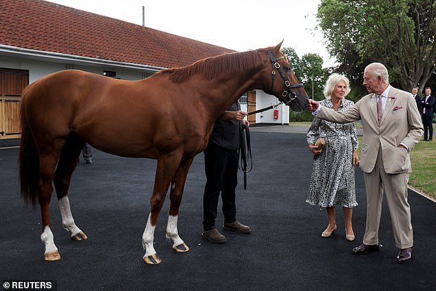 King Charles and Queen Camilla meet racehorse Stradivarius as they visit The National Stud in Newmarket