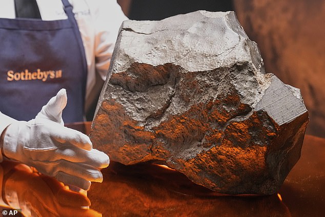 The largest Martian meteorite on Earth (pictured) will go on sale at Sotheby's in New York later this week