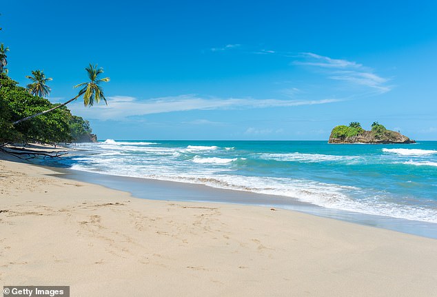 The Costa Rican National Police reported that Warner’s body was discovered near Cocles, a beach in the Limon province (Playa Cocles pictured above)