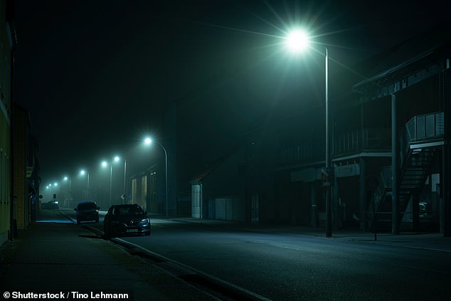 Light pollution in the bedroom could raise sleepers' risk of heart disease, research claims (Stock image)