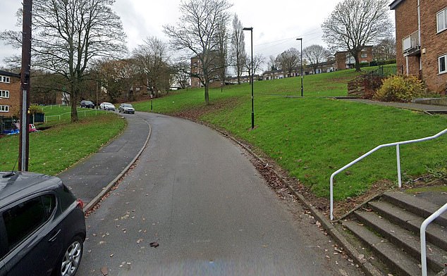 A toddler died after police were called to a property following reports of 'concern for a child'. The force were alerted by paramedics from an address on Overend Way (pictured)